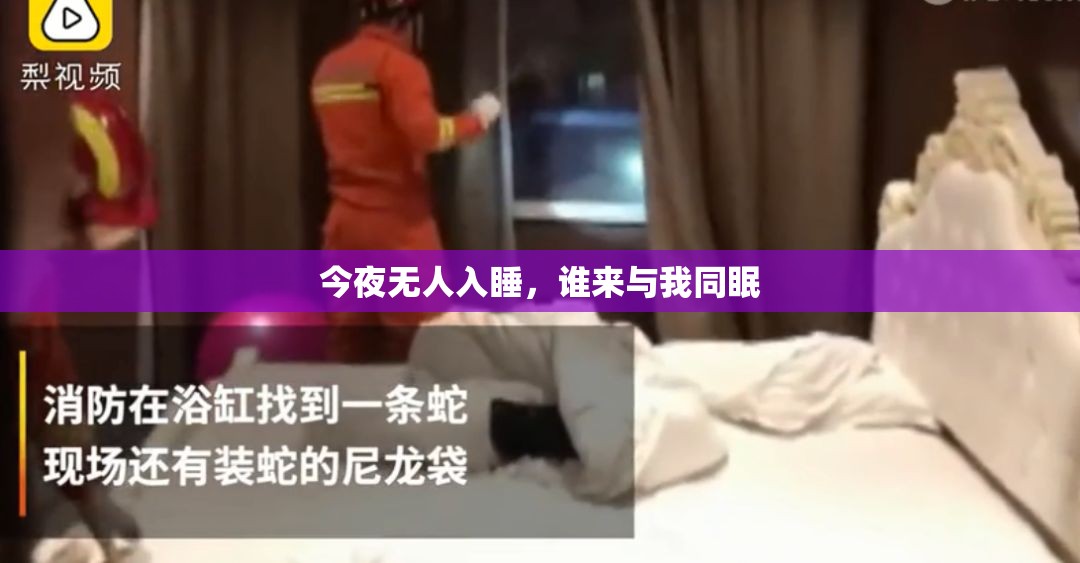 今夜无人入睡，谁来与我同眠