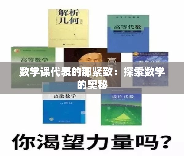 数学课代表的那紧致：探索数学的奥秘