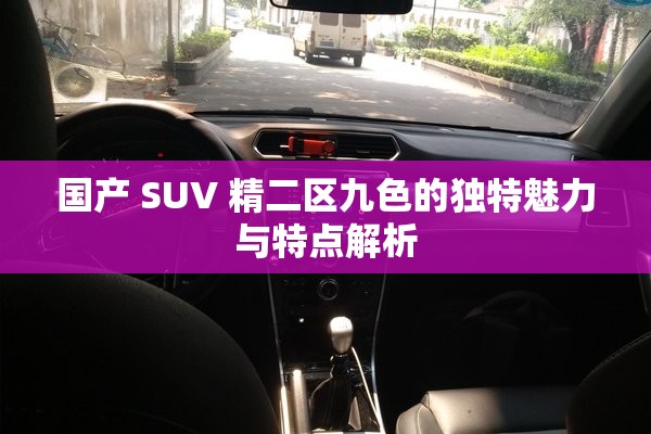 国产 SUV 精二区九色的独特魅力与特点解析