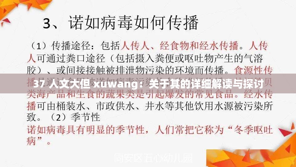 37 人文大但 xuwang：关于其的详细解读与探讨