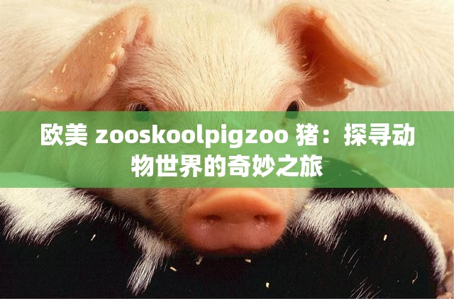 欧美 zooskoolpigzoo 猪：探寻动物世界的奇妙之旅