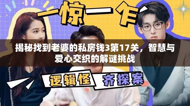 揭秘找到老婆的私房钱3第17关，智慧与爱心交织的解谜挑战