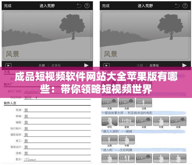 成品短视频软件网站大全苹果版有哪些：带你领略短视频世界