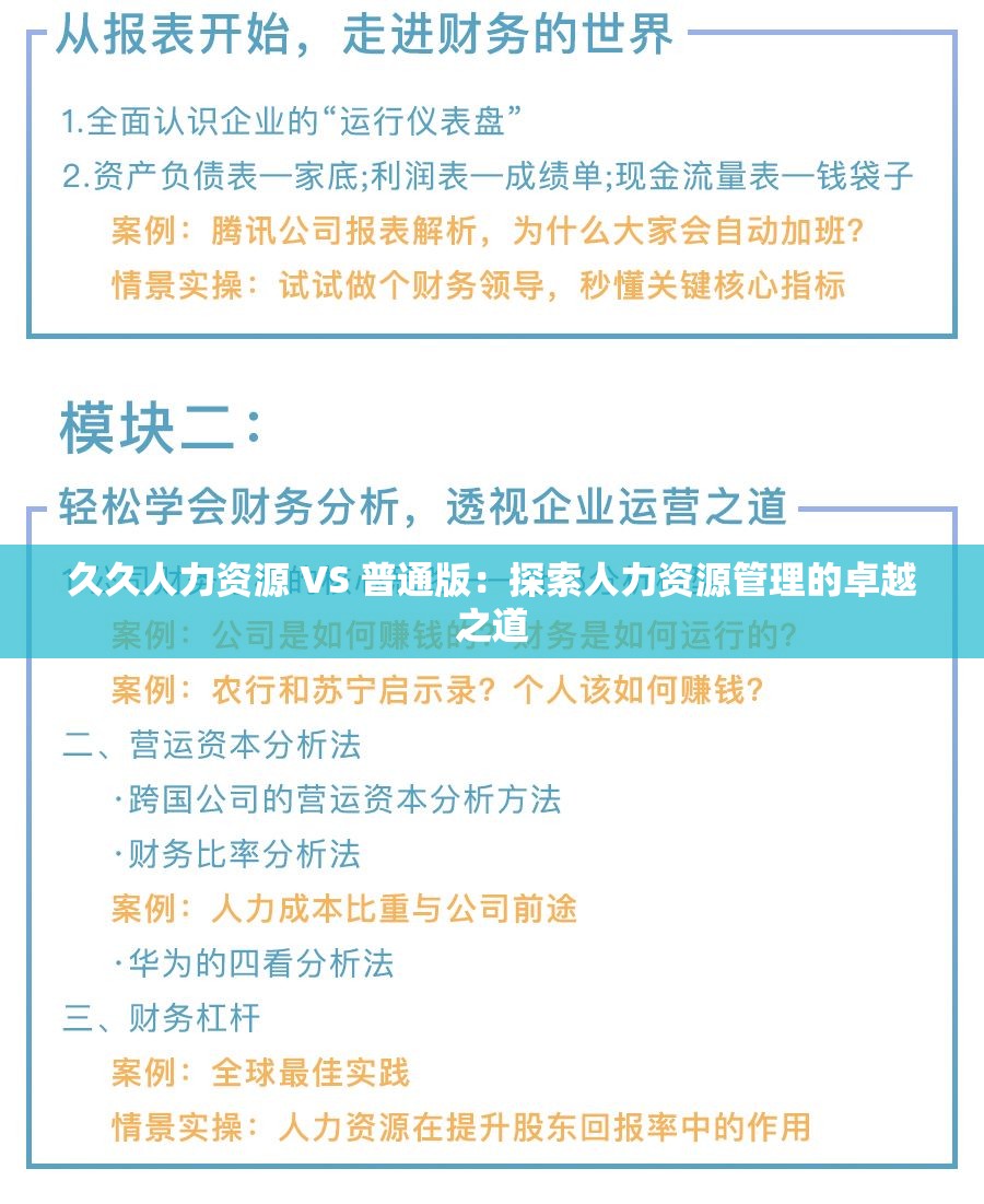 久久人力资源 VS 普通版：探索人力资源管理的卓越之道