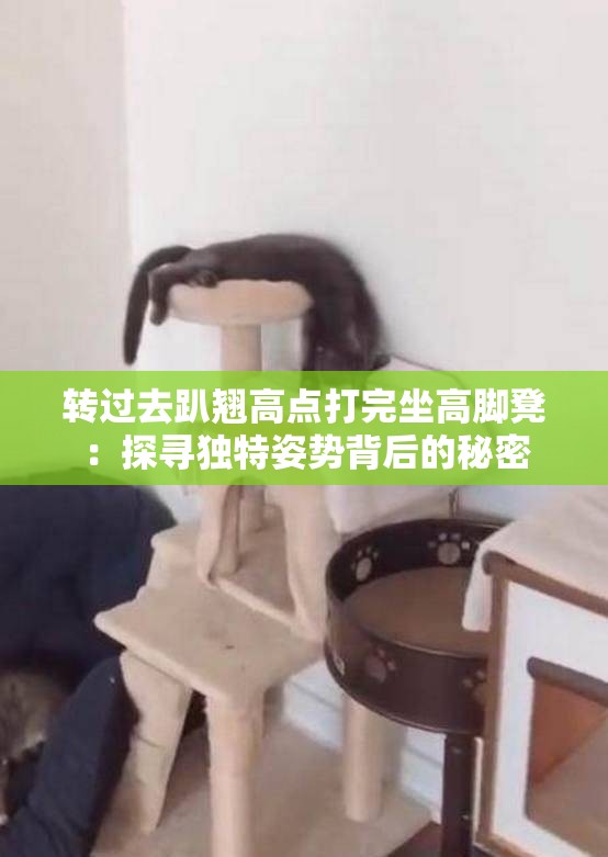 转过去趴翘高点打完坐高脚凳：探寻独特姿势背后的秘密