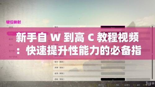 新手自 W 到高 C 教程视频：快速提升性能力的必备指南