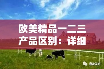 欧美精品一二三产品区别：详细解析与深度对比探讨