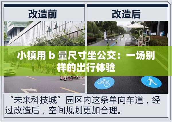 小镇用 b 量尺寸坐公交：一场别样的出行体验