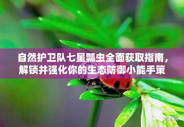 自然护卫队七星瓢虫全面获取指南，解锁并强化你的生态防御小能手策略