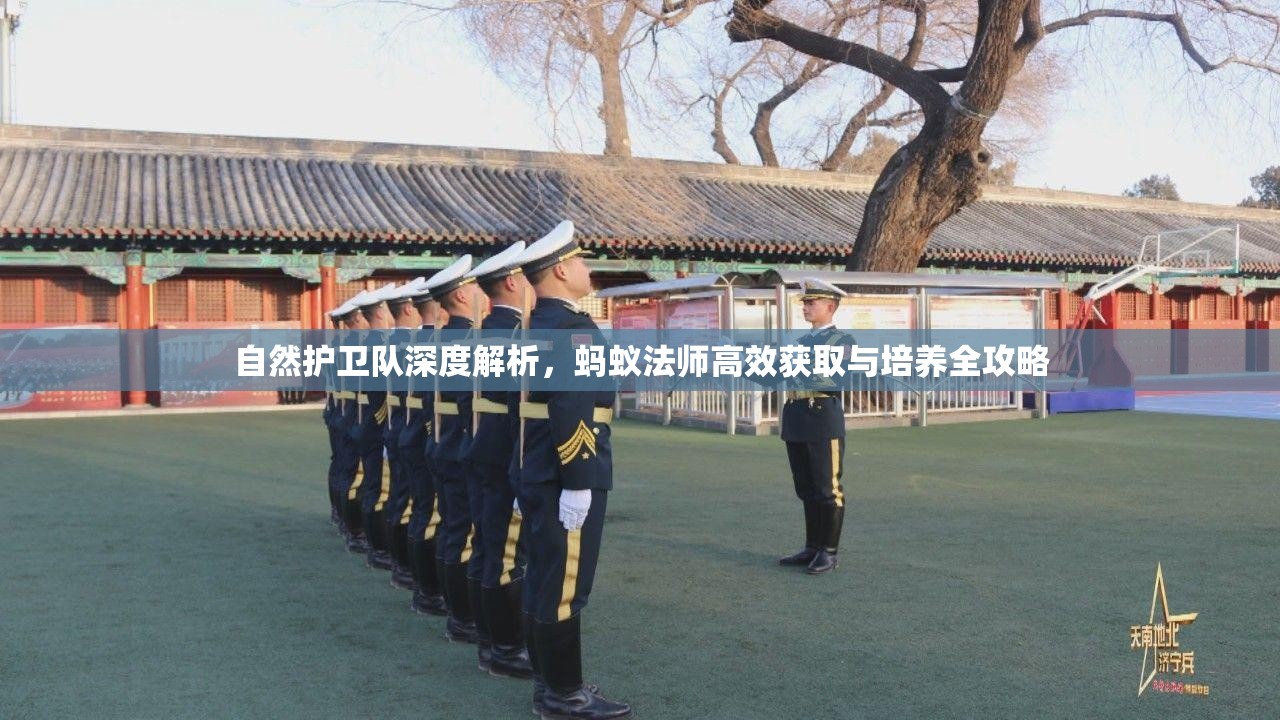 自然护卫队深度解析，蚂蚁法师高效获取与培养全攻略