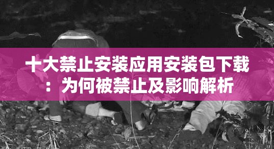 十大禁止安装应用安装包下载：为何被禁止及影响解析