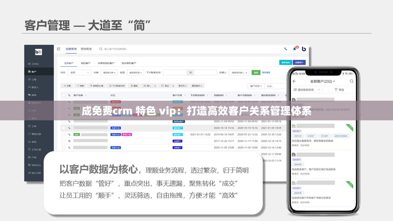 成免费crm 特色 vip：打造高效客户关系管理体系