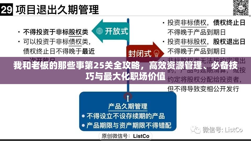 我和老板的那些事第25关全攻略，高效资源管理、必备技巧与最大化职场价值