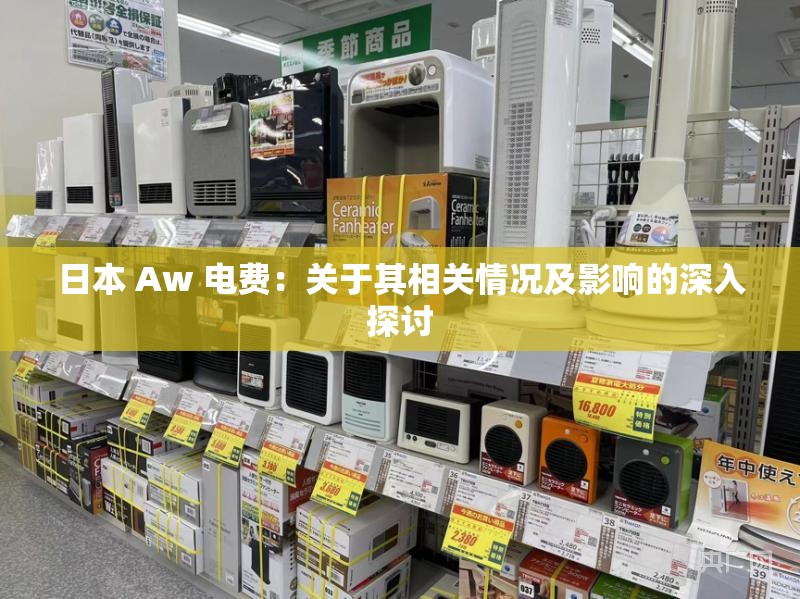 日本 Aw 电费：关于其相关情况及影响的深入探讨