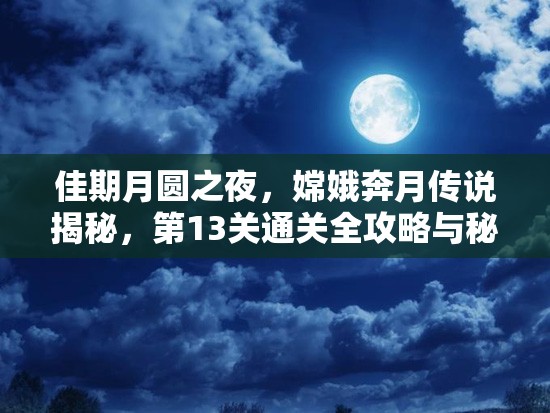 佳期月圆之夜，嫦娥奔月传说揭秘，第13关通关全攻略与秘籍