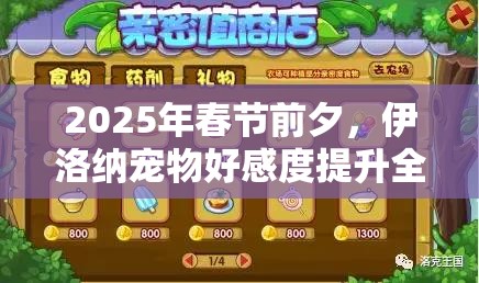 2025年春节前夕，伊洛纳宠物好感度提升全攻略，助你与小伙伴亲密无间