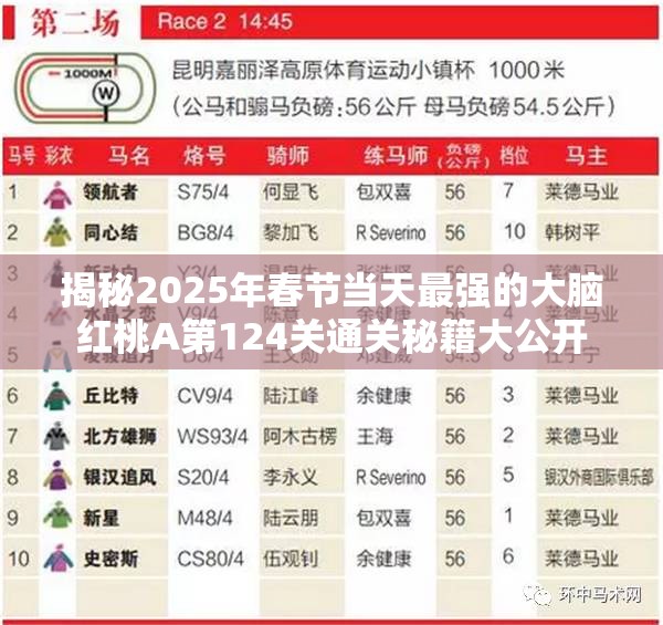 揭秘2025年春节当天最强的大脑红桃A第124关通关秘籍大公开