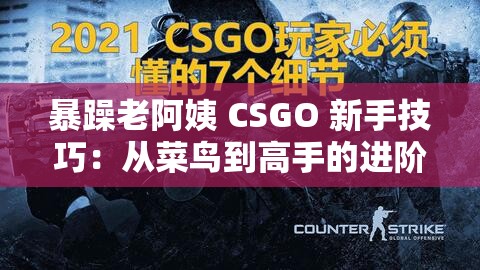 暴躁老阿姨 CSGO 新手技巧：从菜鸟到高手的进阶之路