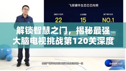 解锁智慧之门，揭秘最强大脑电视挑战第120关深度攻略与技巧