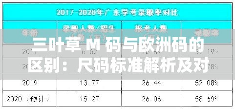 三叶草 M 码与欧洲码的区别：尺码标准解析及对比差异探讨