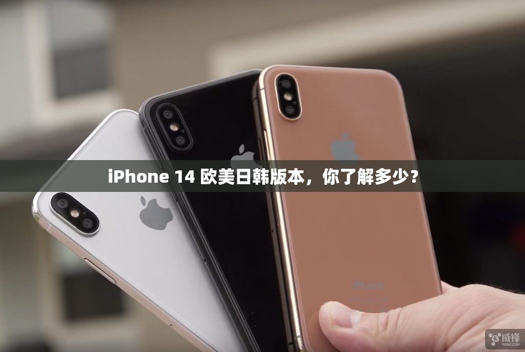 iPhone 14 欧美日韩版本，你了解多少？