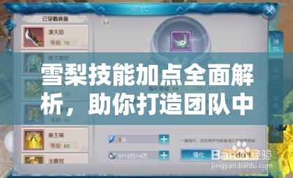 雪梨技能加点全面解析，助你打造团队中最强的辅助型角色