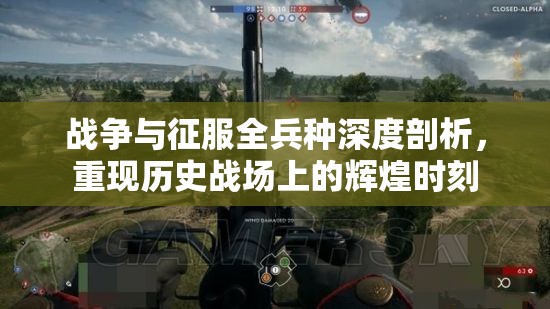 战争与征服全兵种深度剖析，重现历史战场上的辉煌时刻