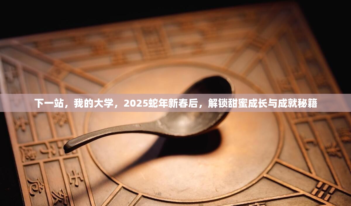 下一站，我的大学，2025蛇年新春后，解锁甜蜜成长与成就秘籍