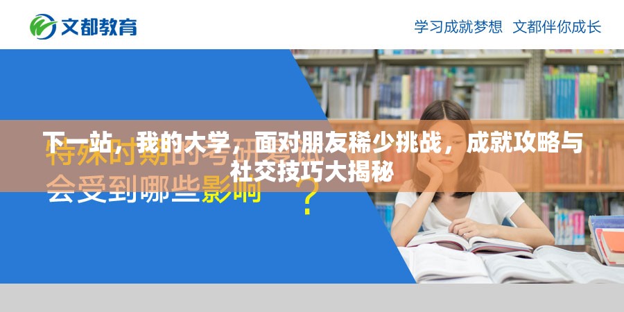 下一站，我的大学，面对朋友稀少挑战，成就攻略与社交技巧大揭秘