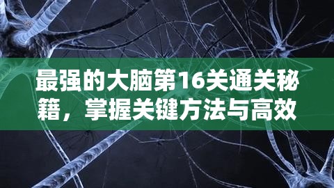 最强的大脑第16关通关秘籍，掌握关键方法与高效资源管理策略