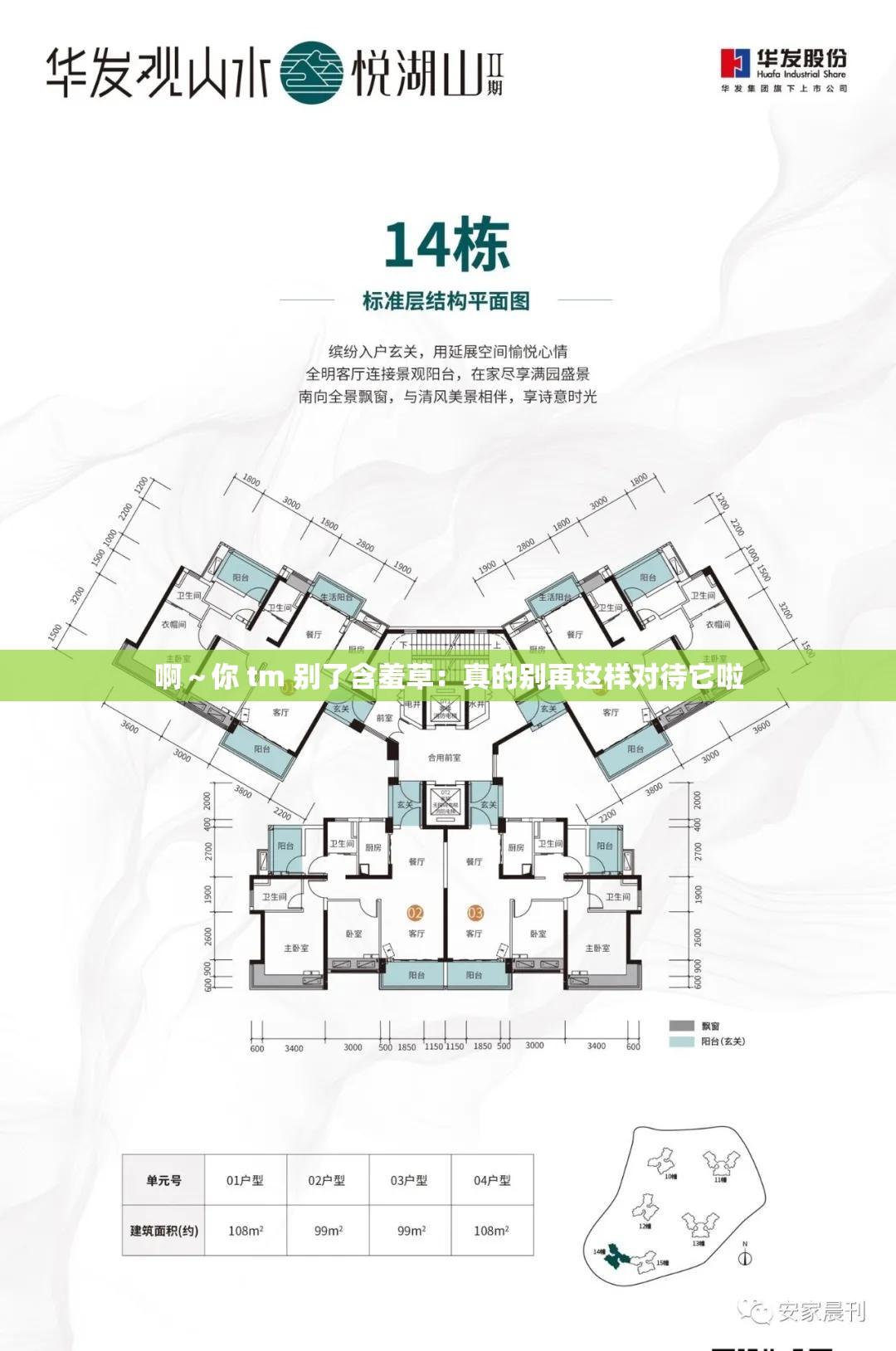 啊～你 tm 别了含羞草：真的别再这样对待它啦