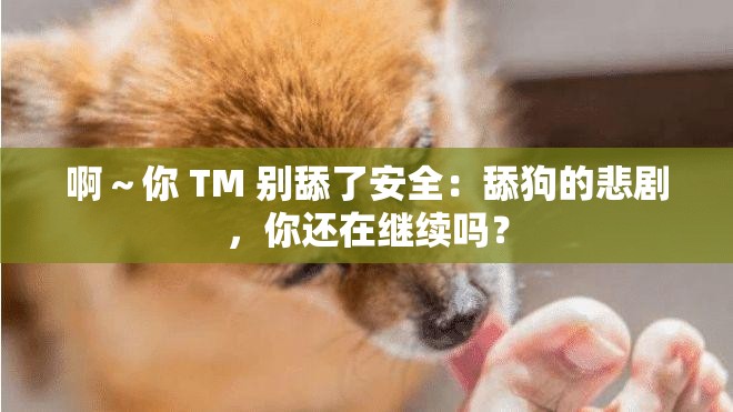 啊～你 TM 别舔了安全：舔狗的悲剧，你还在继续吗？