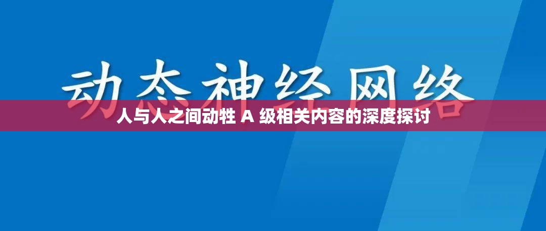 人与人之间动牲 A 级相关内容的深度探讨