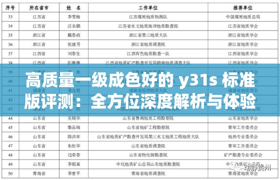 高质量一级成色好的 y31s 标准版评测：全方位深度解析与体验分享