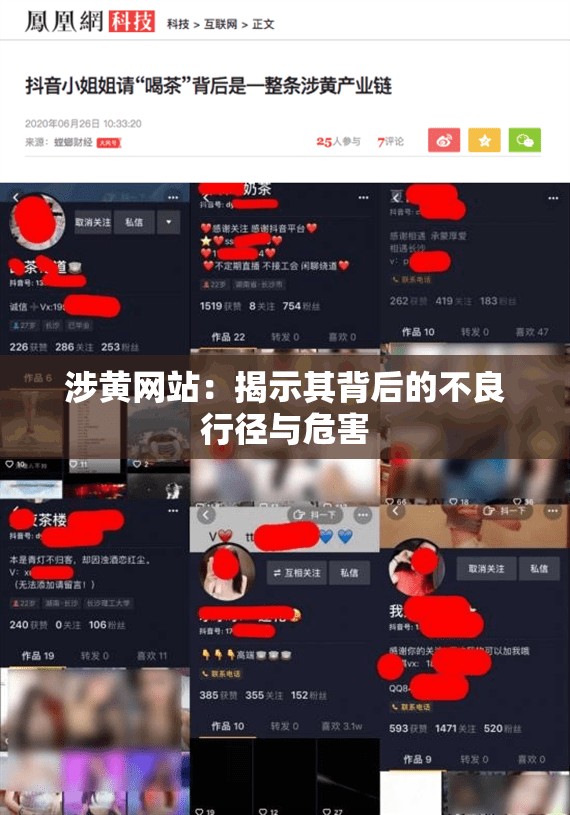 涉黄网站：揭示其背后的不良行径与危害