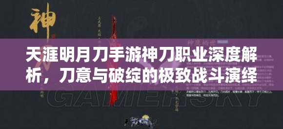 天涯明月刀手游神刀职业深度解析，刀意与破绽的极致战斗演绎