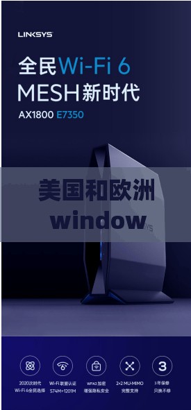 美国和欧洲 windowsvps 网站：畅享高速网络连接