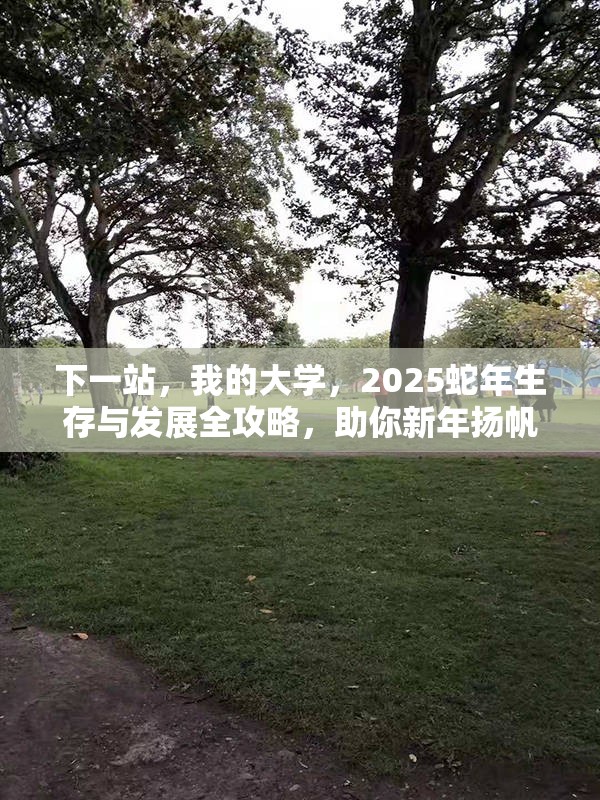 下一站，我的大学，2025蛇年生存与发展全攻略，助你新年扬帆起航