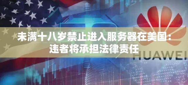 未满十八岁禁止进入服务器在美国：违者将承担法律责任