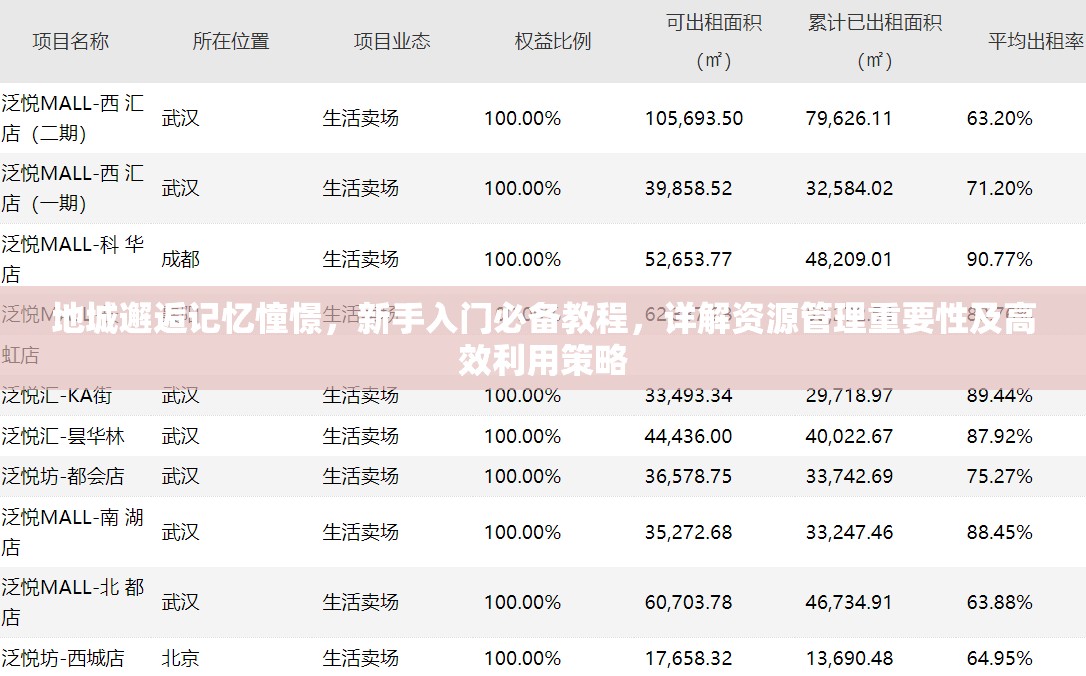 地城邂逅记忆憧憬，新手入门必备教程，详解资源管理重要性及高效利用策略