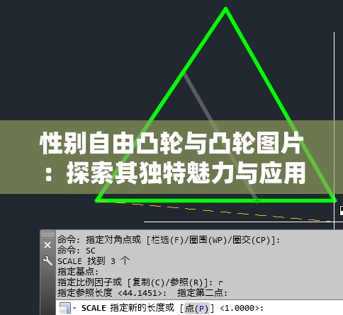 性别自由凸轮与凸轮图片：探索其独特魅力与应用价值