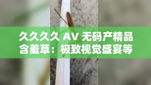 久久久久 AV 无码产精品含羞草：极致视觉盛宴等你来