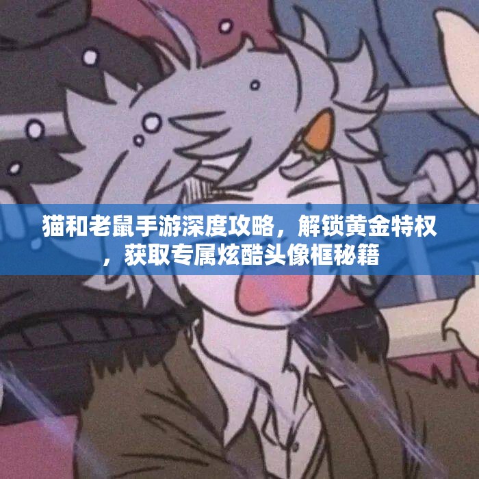 猫和老鼠手游深度攻略，解锁黄金特权，获取专属炫酷头像框秘籍