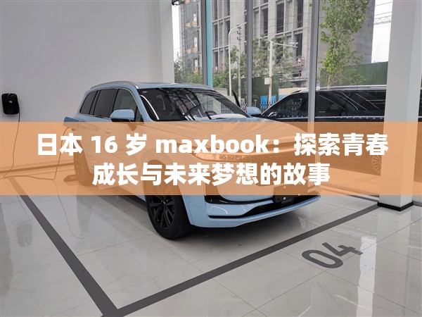 日本 16 岁 maxbook：探索青春成长与未来梦想的故事