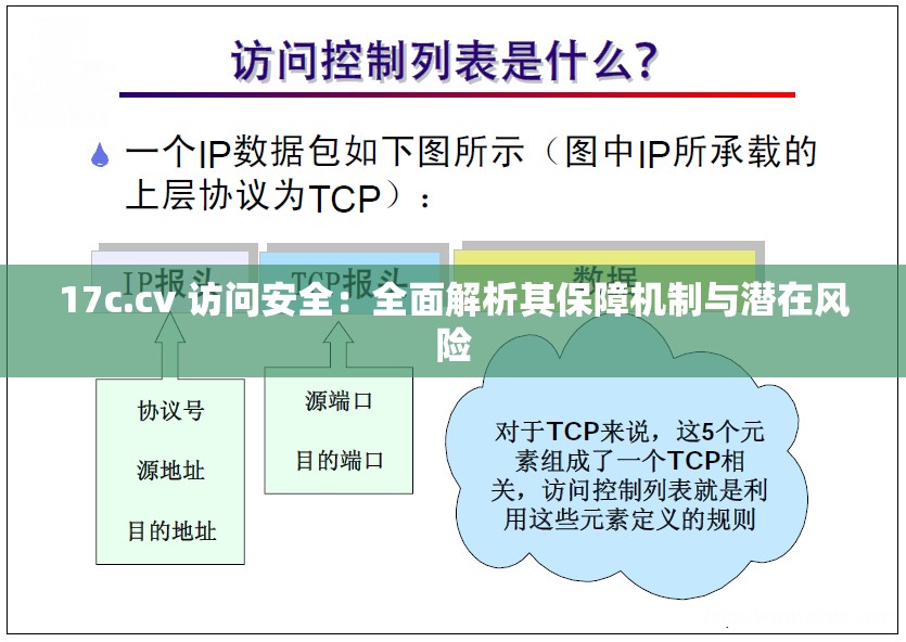 17c.cv 访问安全：全面解析其保障机制与潜在风险