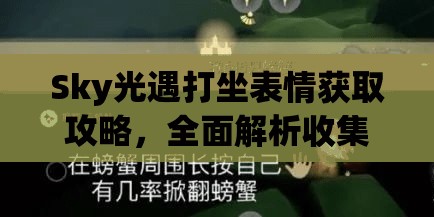 Sky光遇打坐表情获取攻略，全面解析收集方法与高效管理策略