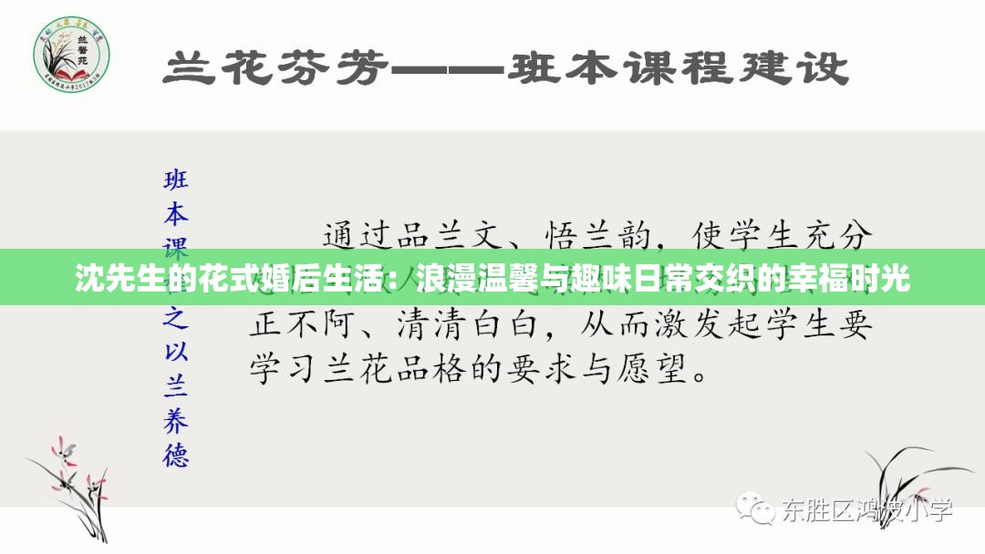 沈先生的花式婚后生活：浪漫温馨与趣味日常交织的幸福时光