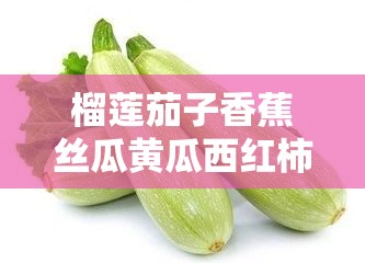 榴莲茄子香蕉丝瓜黄瓜西红柿：奇妙蔬果大集合