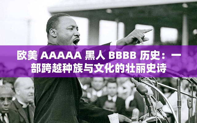 欧美 AAAAA 黑人 BBBB 历史：一部跨越种族与文化的壮丽史诗