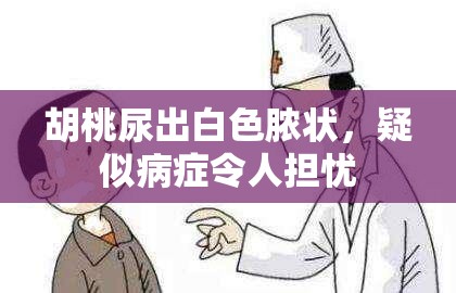 胡桃尿出白色脓状，疑似病症令人担忧